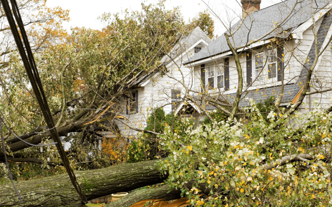 Realtors’ role in reducing risk in Canada: Natural hazards affect us all